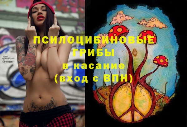 тгк Гусь-Хрустальный