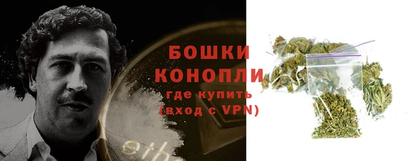 тгк Гусь-Хрустальный