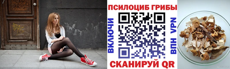 KRAKEN ссылки  Димитровград  Галлюциногенные грибы GOLDEN TEACHER 